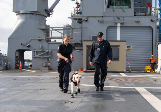 Dog Handler Cheryl with Kiwa from New Zealand Customs Service’s detector dog training with Lieutenant Commander Rob Badger at Devonport Naval Base.