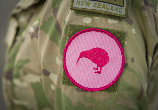 20240523 NZDF P1024180 001