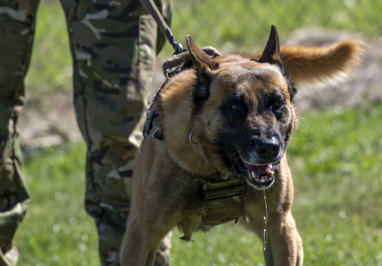 20250203 NZDF H1060583 010