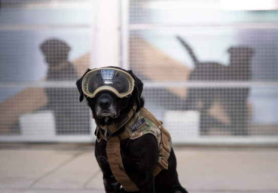 229363180 186809300150526 8551390714801028341 n 2