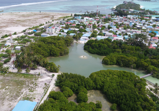 Huraa Island mangroves provide natural protection against flooding and tsunamis as well as breeding and nesting areas for birds