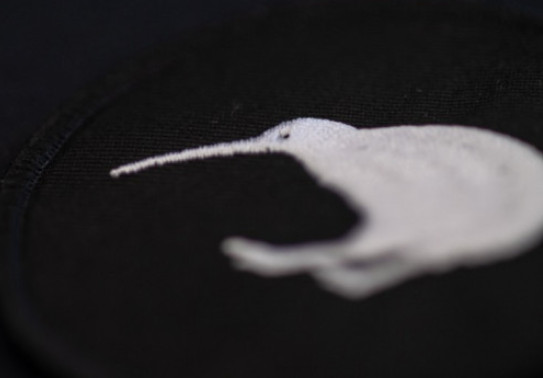 NZDF medical officer joins Australian response to Fiji Covid surge kiwi