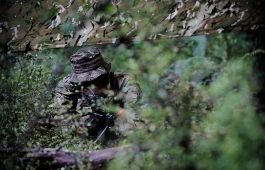 A solider wearing effective camouflage is amongst trees and bushes looking down their weapon.